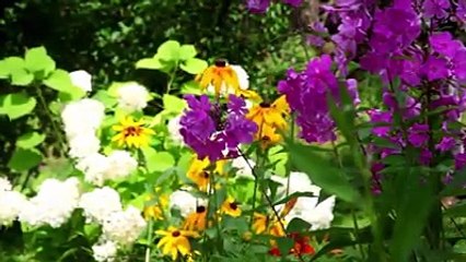 Aur Tum ALLAH ki kon kon Si Naimto ko Jhutlao Gey