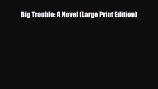 [PDF Download] Big Trouble: A Novel (Large Print Edition) [Read] Online