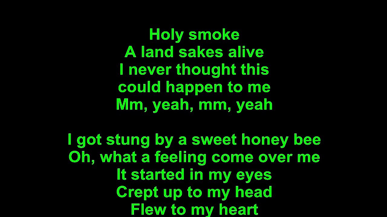 Elvis Presley – I Got Stung Lyrics