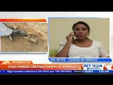 ONG en México considera que recientes restos encontrados en fosas comunes no son de normalistas