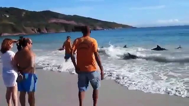 Он просто снимал море и пляж, как вдруг ...