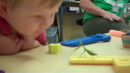 Praying Mantis Tries To Hug Little Boy | Funn Rox