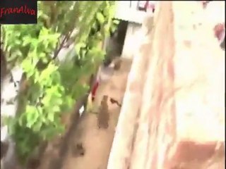 Tiger Attacks Indian village january 2016