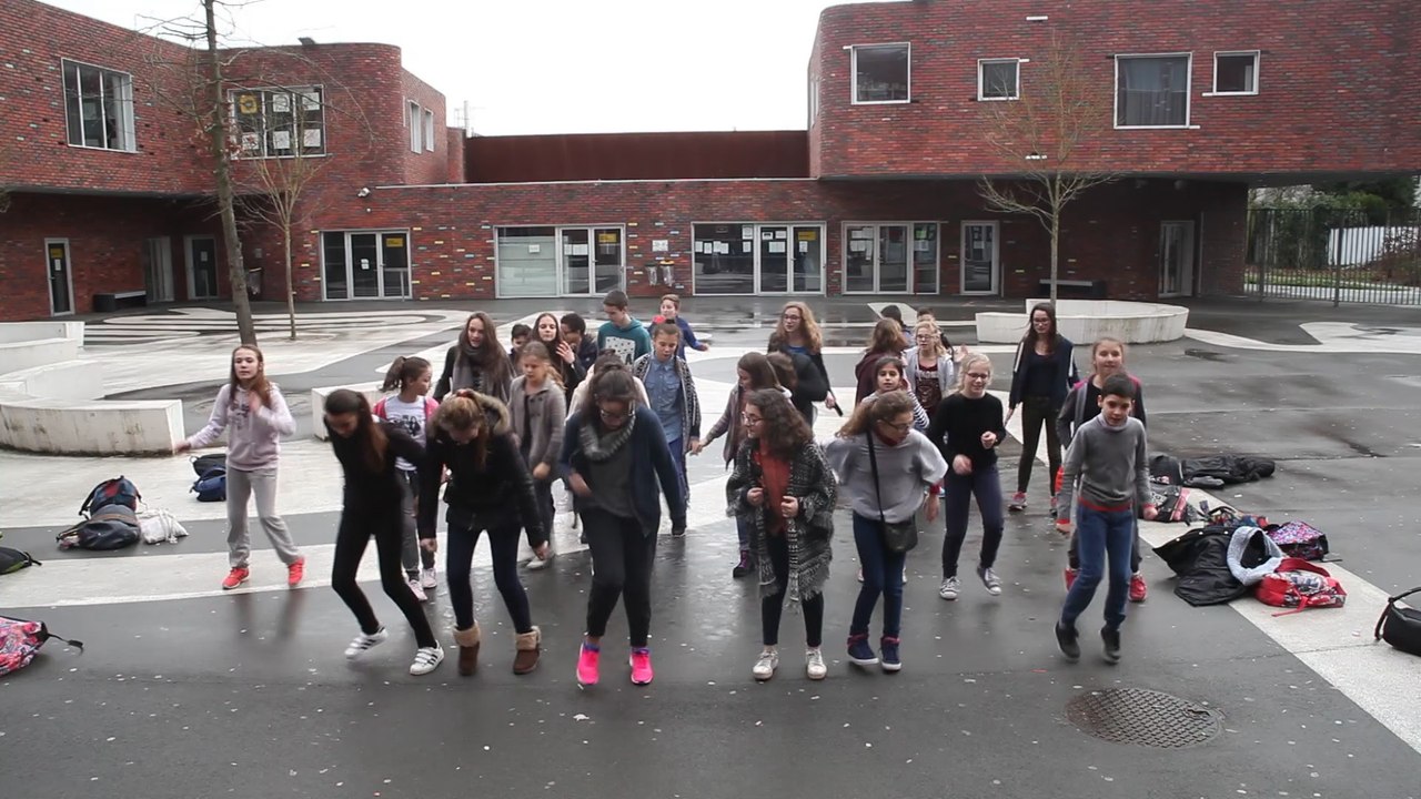Flashmob du Collège LEVI STRAUSS