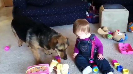 Babies and Dogs play Funny clips