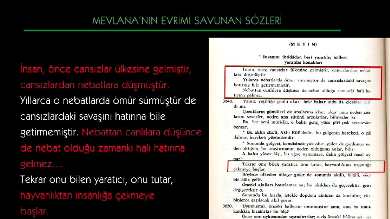 Mevlana ve Evrim