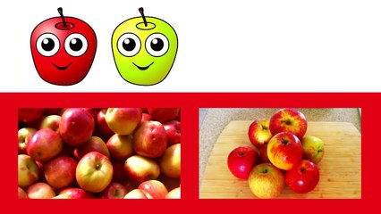 Nursery Rhymes Collection Vol. 1 - Wheels on the Bus & More, Baby Toddler Kids Learning So