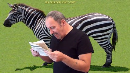 La nature est bien faite... Non ?