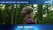 Neu im Kino: THE FOREST Trailer German Deutsch (2016)