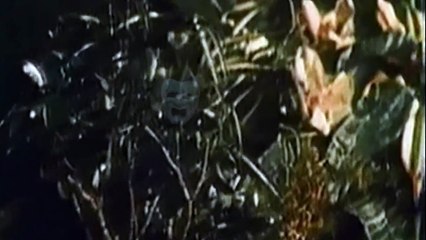 SciFI MineCart S01E08 - Day of the Triffids (1962)