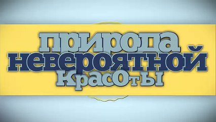 СНЕГОХОДЫ!!! (тур. компания Стелла)