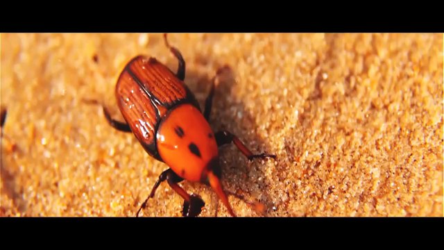 Malayalam super hit christian devotional song Jeevitha Sayaanna by Biju Narayanan & Peter K Joseph