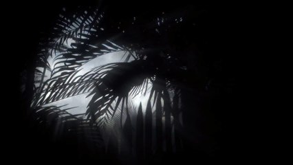 Uncharted 4 : A Thief's End - Limited Edition Bundle