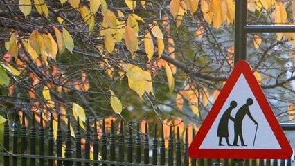 Voir et revoir La Documentation française : les retraites sur MCEReplay