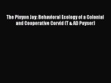 The Pinyon Jay: Behavioral Ecology of a Colonial and Cooperative Corvid (T & AD Poyser)  Read