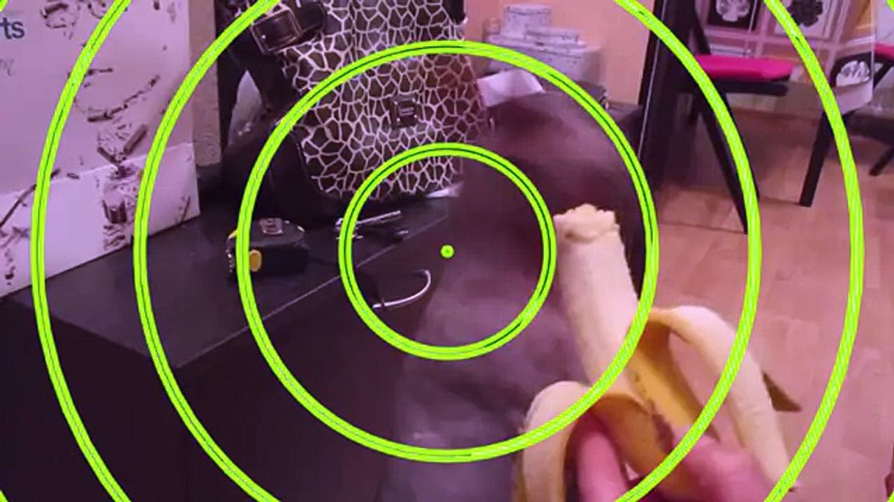 Котики любят бананы Cats like bananas