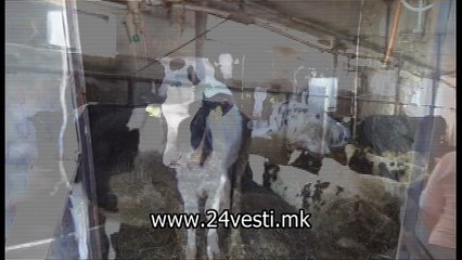 PLATENI SMETKI STRUJA NEMA  04 02