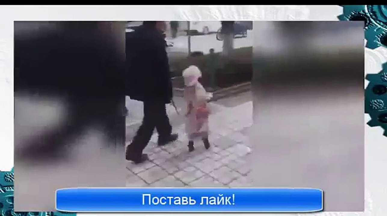 СМЕШНАЯ СОБАКА МОДНИЦА, Классная такая собачка, Супер!!