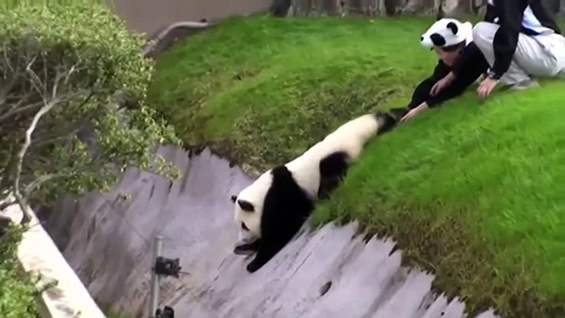 ⁣Спасение Панды Rescue Panda