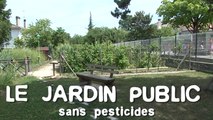Le jardin public sans pesticides : trucs & astuces des communes engagées dans la démarche Terre Saine communes sans pesticides