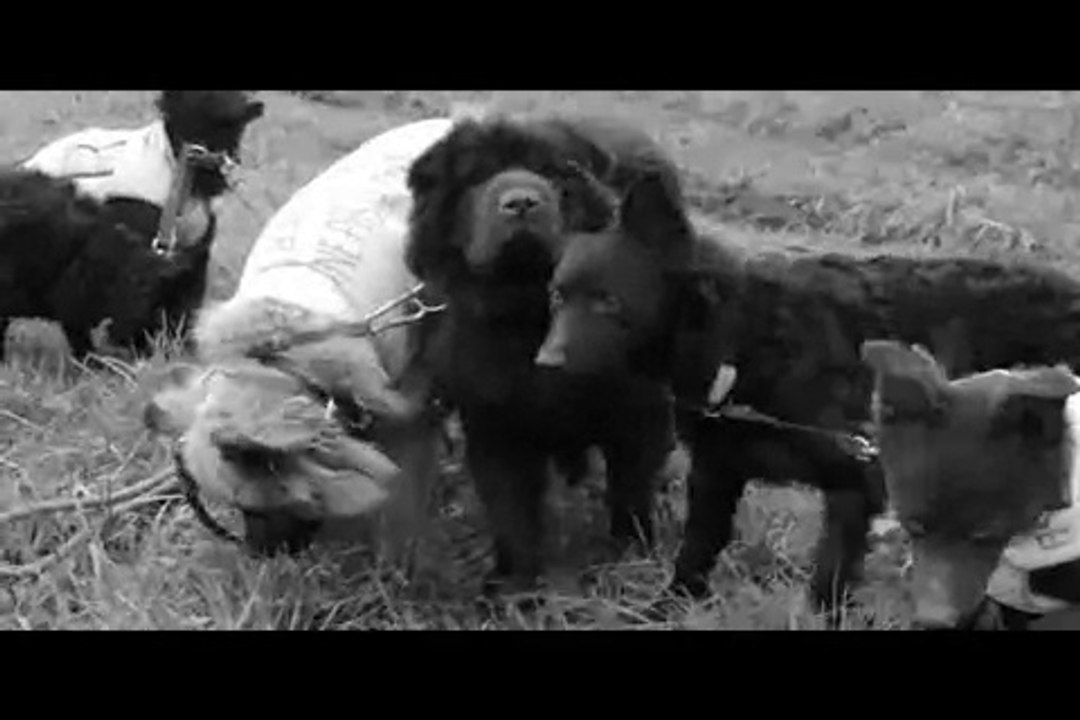 Le Rakuen promenades 2015-12 Hanna