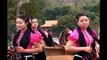 Tổng hợp, các bài, điệu múa dân tộc Thái - dân tộc miền Tây Bắc