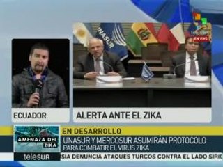 UNASUR y MERCOSUR asumirán protocolo para combatir el zika