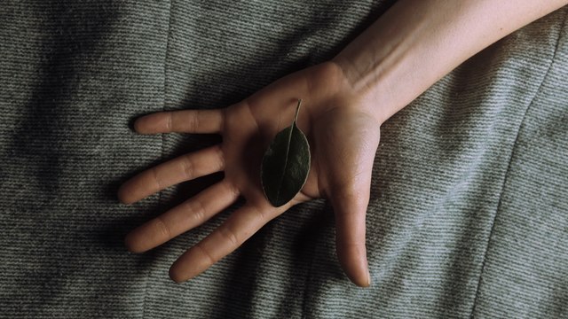 HONNEUR - Armelle Dumoulin