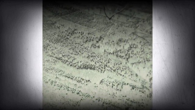 Посадка самолета!