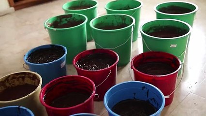 235 Kilo Çikolata Dolu Küvette Banyo Yapan Çılgın Adam