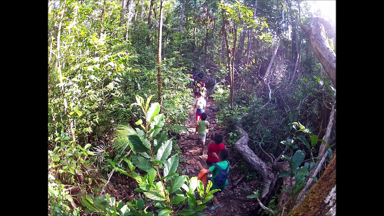 MON EURO 2016  - "Tous Ensemble pour le même Rêve" -  Guyane Française / Saint-Georges-de-l'Oyapock