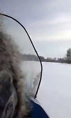 Снегоходы Тайга. Покатушки