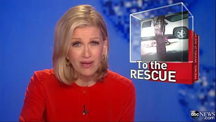 Кот героически спасает ребенока от подлой собаки