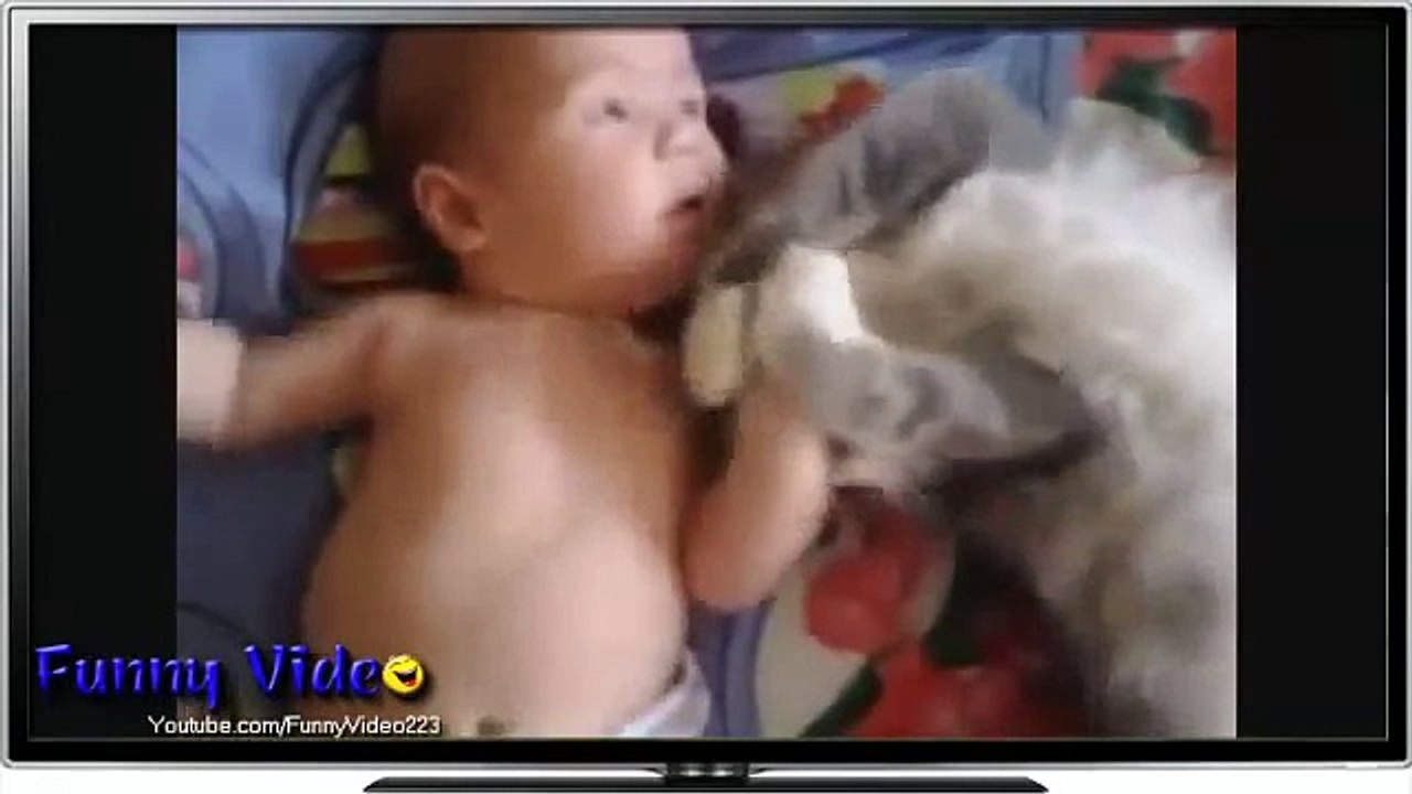 Кошки и дети. Удивительные примеры любви и нежности