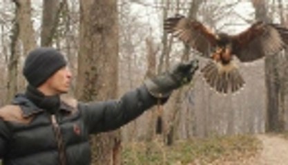 Şahiniyle dostluğu görenleri şaşırtıyor