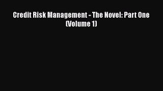 PDF Download Credit Risk Management - The Novel: Part One (Volume 1) Download Full Ebook