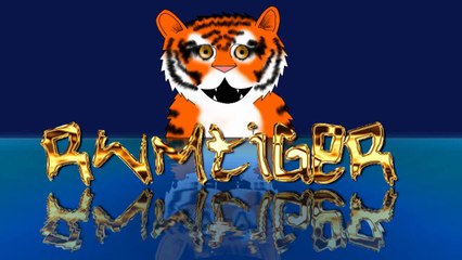 Why i have not been posting video