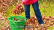 Autumn Songs for Children Autumn Leaves are Falling Down Kids Songs by The Learning Statio