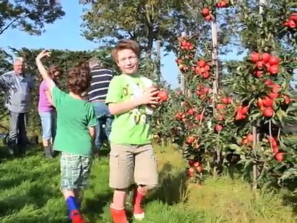 GENÇ ÇİFTÇİLERE BODUR ELMA BAHÇESİ KURULUR