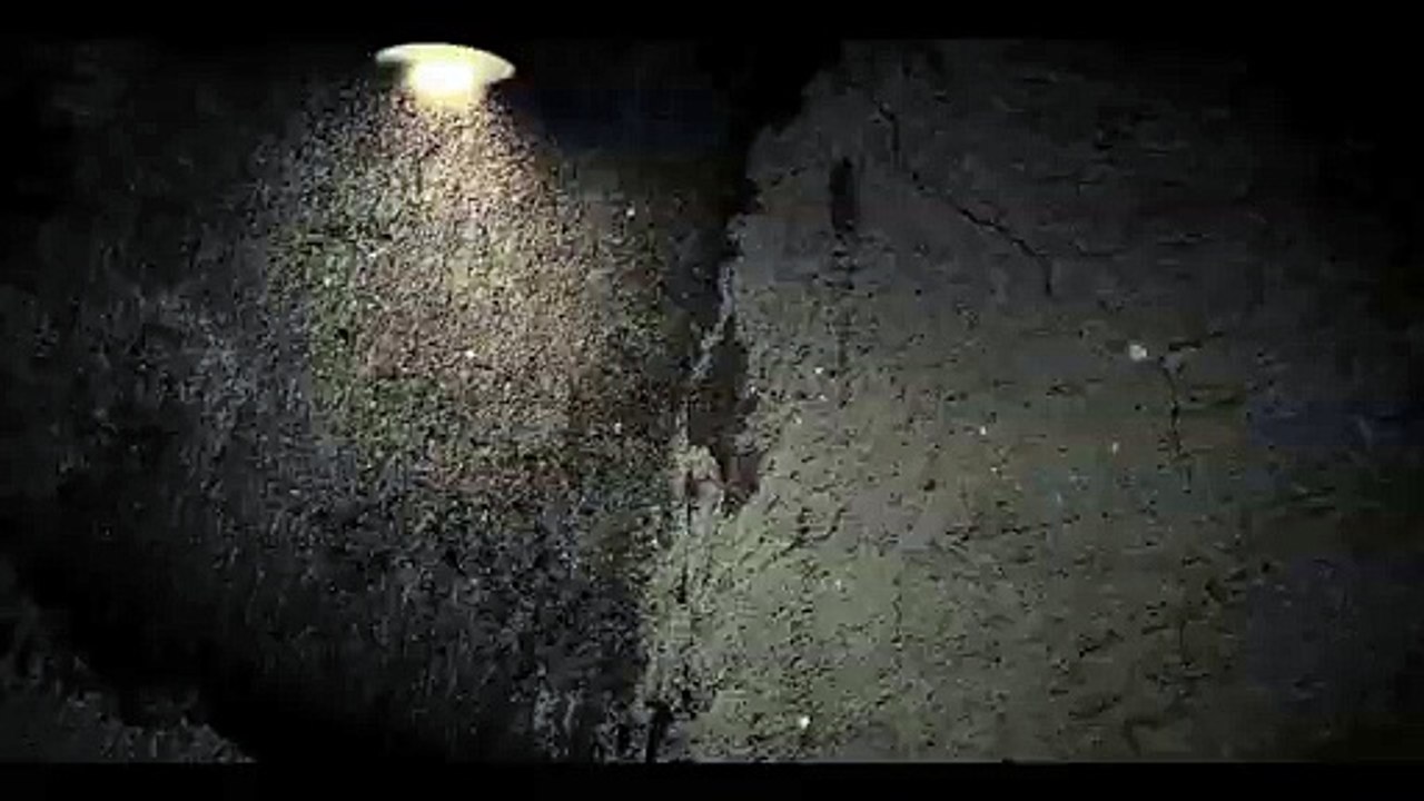 Waleed Cheema BeparwianTeaser Out Now