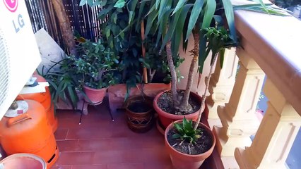 Calle de Puerto Rico 37