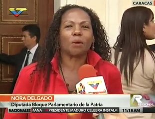 Esto fue lo que opinó la diputada Nora Delgado acerca de Lilian Tintori y la Ley de Amnistía