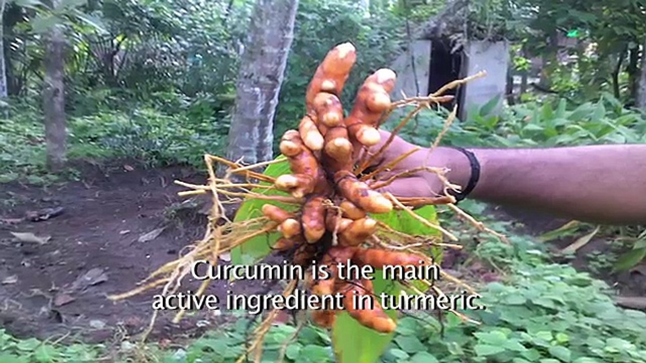 Turmeric for Health,Turmeric Face Mask for rosacea, acne, and dark circles