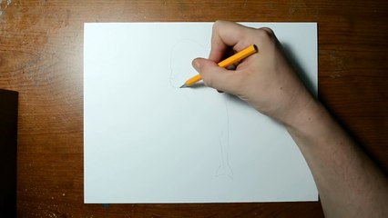 Trick Art, Drawing a Dolphin, Anamorphic Illusion