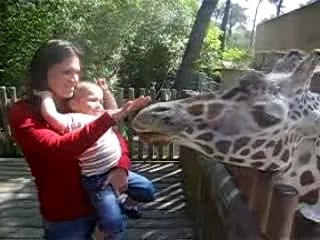 Zoo de la Palmye 6 mai 2007 046