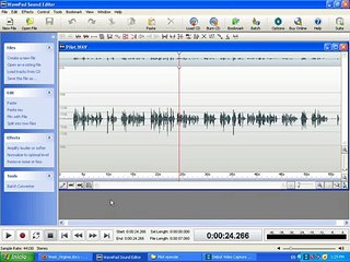 Adjusting Audio in WavePad