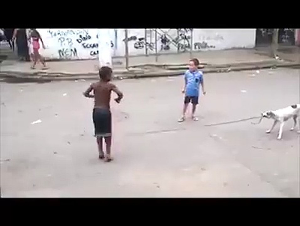 dog vs man ...