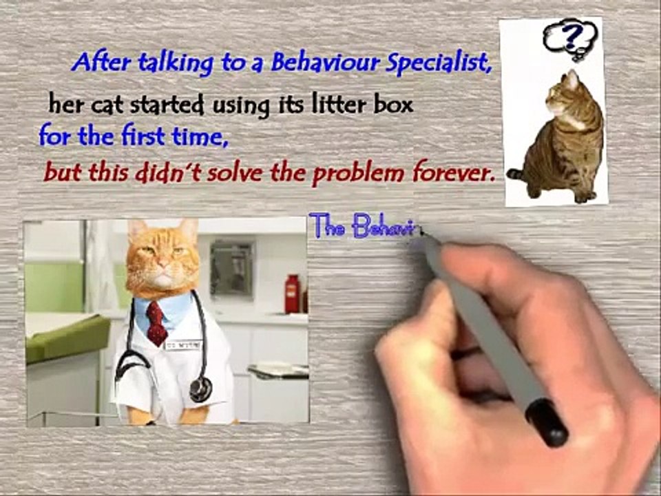 Cat spraying no more review/Cat Spraying No More + Discount