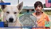Собака – друг человека- Пёс привёл полицию к своему хозяину-наркоману