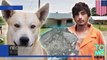 Собака – друг человека- Пёс привёл полицию к своему хозяину-наркоману